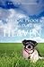 Biblical Proof Animals Do Go To Heaven