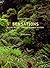 Sensations: A Time Travel t...