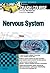 Crash Course Nervous System E-Book