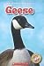 Geese