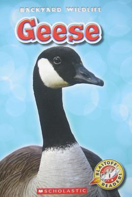 Geese (Unknown Binding)