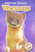 Weasels