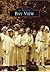 Bay View (Images of America: Wisconsin)