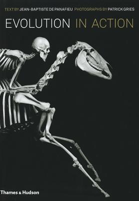 Evolution in Action: Natural History Through Spectacular Skeletons (Hardcover)