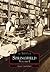 Springfield: Volume I (Images of America: Massachusetts)
