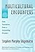 Multicultural Encounters by Stephen Murphy-Shigematsu