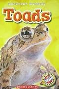 Toads