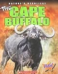 The Cape Buffalo