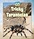 Tricky Tarantulas (Unusual Pets)