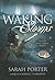 Waking Storms (Lost Voices Trilogy)