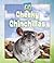 Cheeky Chinchillas (Unusual Pets)