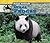 Giant Pandas (Asian Animals)