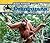 Orangutans (Asian Animals)