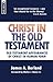 Christ in the Old Testament: Old Testament appearances of Christ in Human form