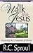 A Walk With Jesus