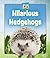 Hilarious Hedgehogs