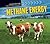 Methane Energy (Innovative ...