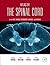 Atlas of the Spinal Cord: Mouse, Rat, Rhesus, Marmoset, and Human