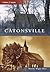 Catonsville by Marsha Wight Wise