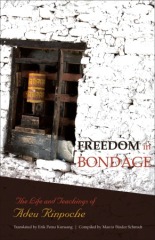 Freedom In Bondage (Paperback)