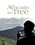 The Avocado Tree: An Immigrant's Journey