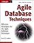 Agile Database Techniques: Effective Strategies for the Agile Software Developer