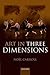 Art in Three Dimensions