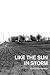 Like the Sun in Storm by Ralph Salisbury
