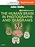The Human Brain in Photographs and Diagrams: With STUDENT CONSULT Online Access