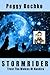 Stormrider
