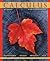 Calculus by Deborah Hughes-Hallett