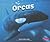 Orcas (Marine Mammals)