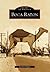 Boca Raton (Images of America: Florida)