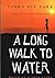 A Long Walk to Water by Linda Sue Park
