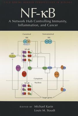 NF-κB: A Network Hub Controlling Immunity, Inflammation, and Cancer