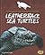 Leatherback Sea Turtles (Endangered and Threatened Animals)