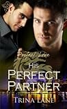 His Perfect Partner (Perfect Love Series, #2)