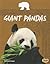 Giant Pandas (Snap / Endangered and Threatened Animals)