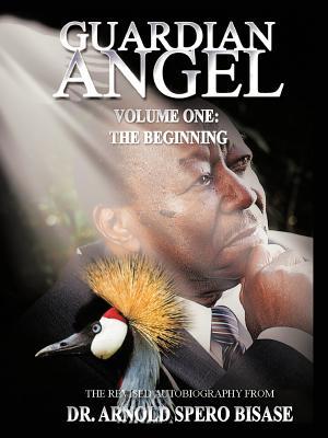 GUARDIAN ANGEL: VOLUME ONE: THE BEGINNING (Paperback)