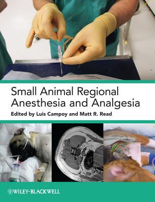 Small Animal Regional Anesthesia and Analgesia (Hardcover)