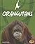 Orangutans (Snap books: Endangered and Threatened Animals)