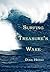Surfing Treasure's Wake