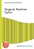 Organic Rankine Cycle