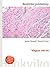 Vagus Nerve