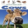 Cows by Lauren Diemer