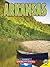 Arkansas: The Natural State (Guide to American States)