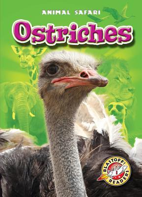 Ostriches (Blastoff! Readers: Animal Safari)