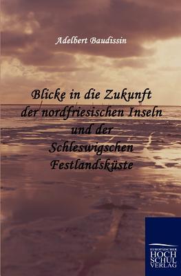 Blicke in die Zukunft der nordfriesischen Inseln und der Schleswigschen Festland (German Edition)