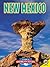 New Mexico by Rennay Craats