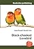 Black-Cheeked Lovebird